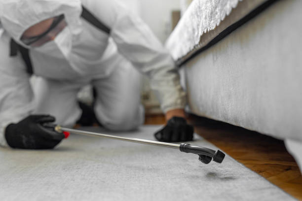 Professional Ant Control technician working in Mackinaw, IL