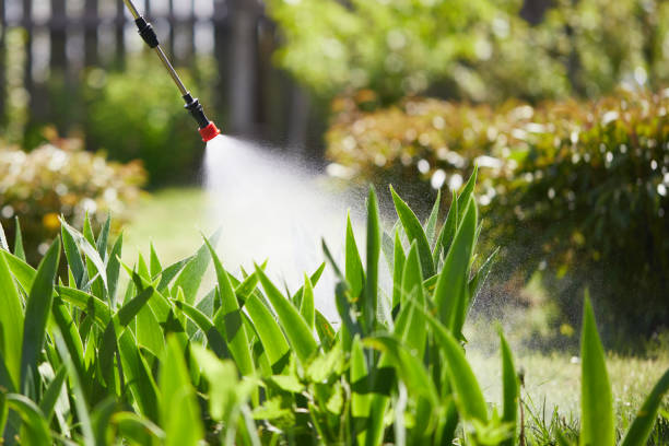 24/7 Emergency Ant Control experts in Mackinaw, IL