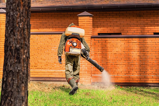 Trusted Mosquito Control service in Mackinaw, IL - Nex Pest Control